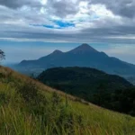 Soerjo Jawa Timur Tutup