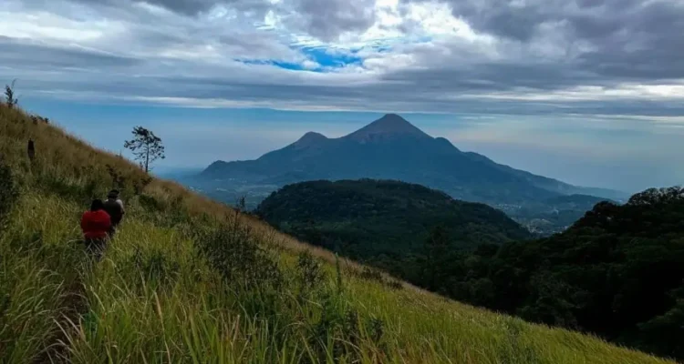 Soerjo Jawa Timur Tutup